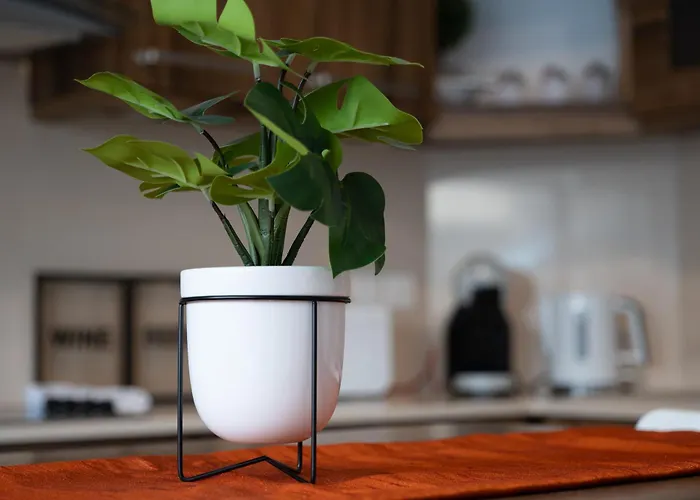 Apartman Modern 3 Bedroom Oasis In Swieqi By Eldi