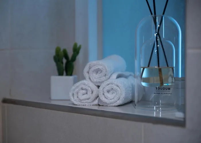 Modern 3 Bedroom Oasis In Swieqi By Eldi